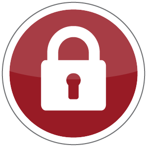 Protecting People & Valuable Assets